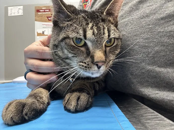 Hanover Regional Animal Hospital 5