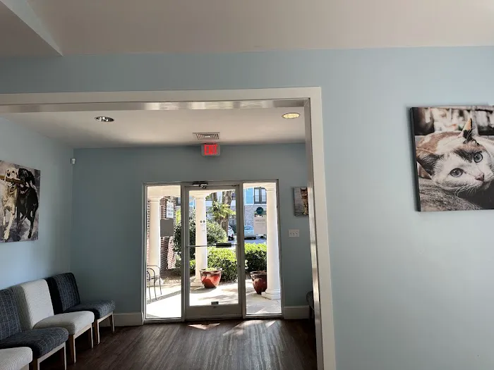 Whole Pet Veterinary Hospital - Wilmington 2
