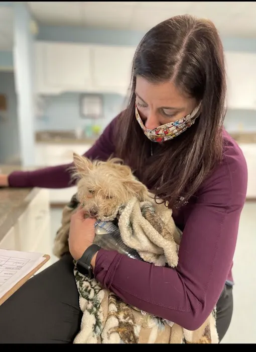 Whole Pet Veterinary Hospital - Wilmington 8