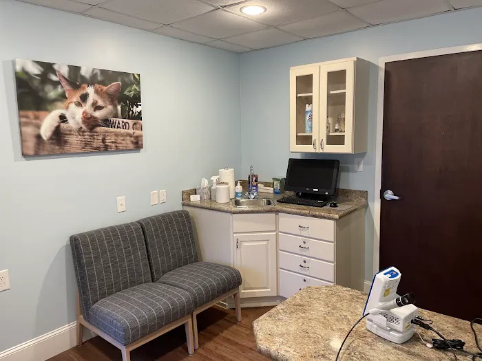 Whole Pet Veterinary Hospital - Wilmington 9