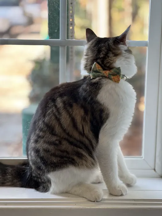 Whole Pet Veterinary Hospital - Wilmington 4