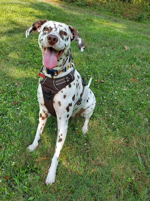 Holly Ridge Veterinary Hospital 10