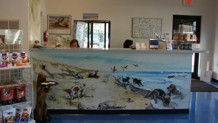 VCA Wrightsville Beach Animal Hospital 6
