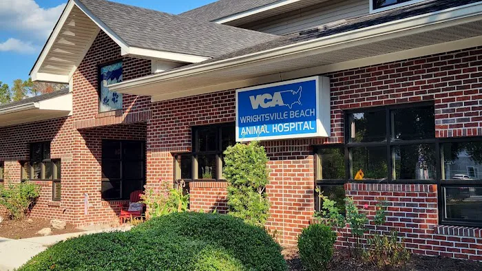 VCA Wrightsville Beach Animal Hospital 5