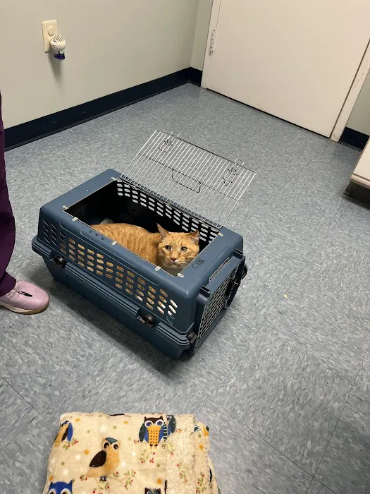 VCA Wrightsville Beach Animal Hospital 9