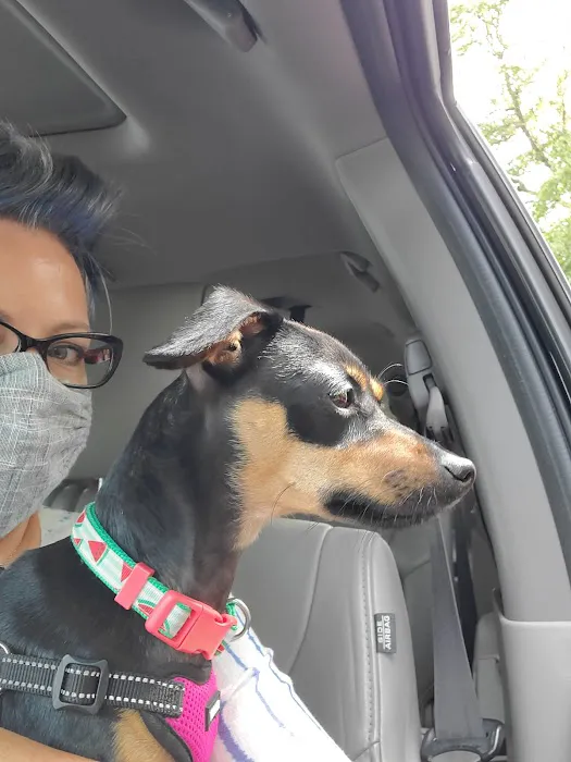 VCA Wrightsville Beach Animal Hospital 2