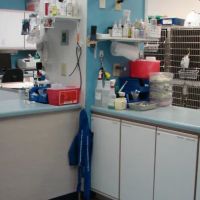 VCA Wrightsville Beach Animal Hospital ico