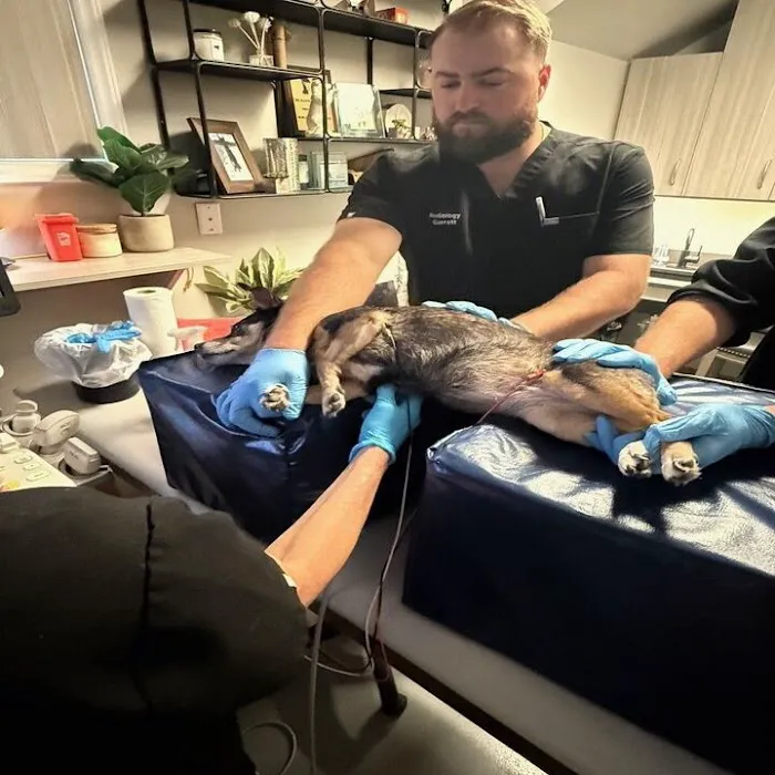Carolina Veterinary Mobile Radiology Inc 7