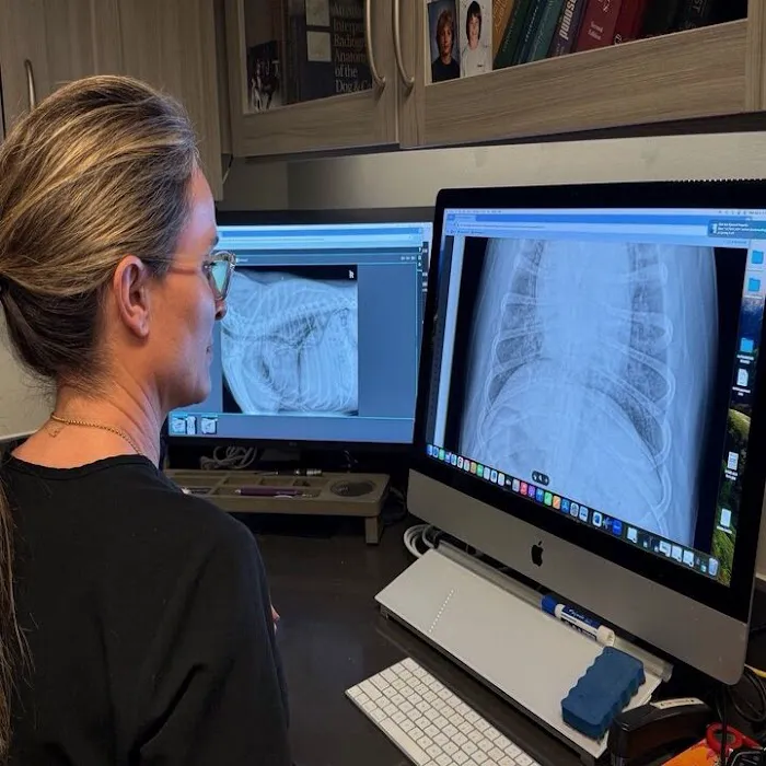 Carolina Veterinary Mobile Radiology Inc 6