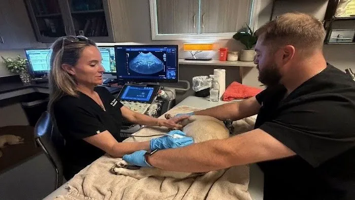 Carolina Veterinary Mobile Radiology Inc 4