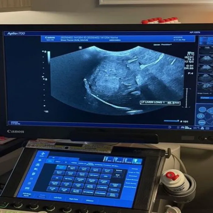 Carolina Veterinary Mobile Radiology Inc 9