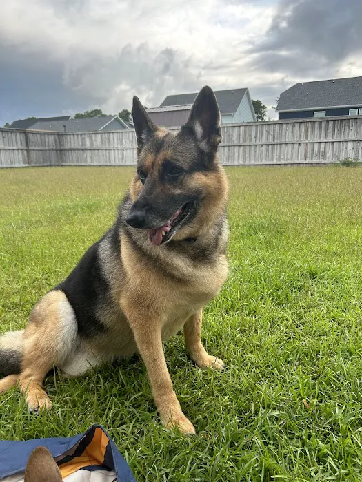 Coastal Pet Hospice 1