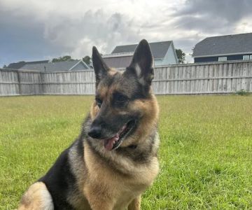 Coastal Pet Hospice