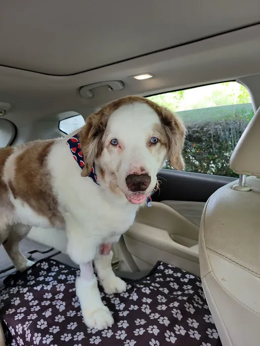 Eastern Carolina Veterinary Referral 8