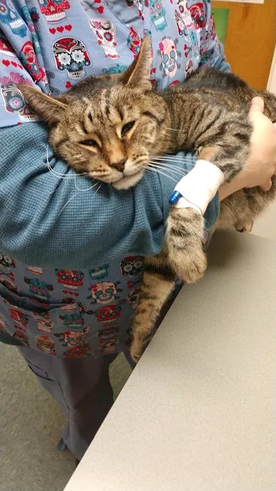Four Oaks Pet Hospital 2
