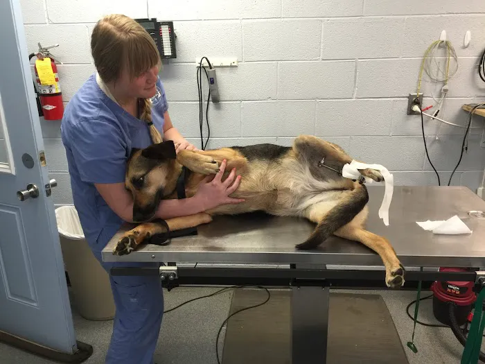 Chilhowee Veterinary Clinic Inc. 5