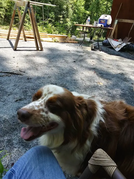 Chilhowee Veterinary Clinic Inc. 3