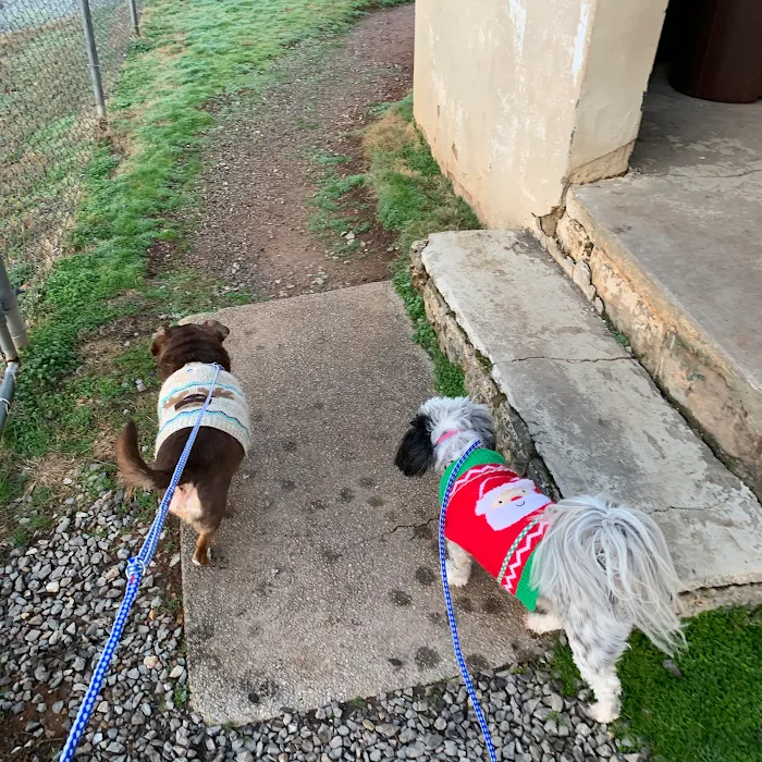 Chilhowee Veterinary Clinic Inc. 8