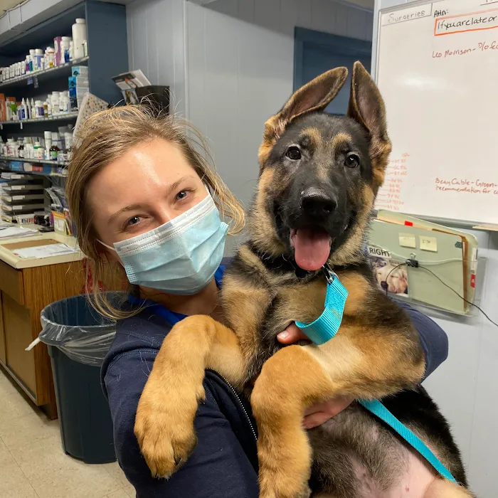 Chilhowee Veterinary Clinic Inc. 10