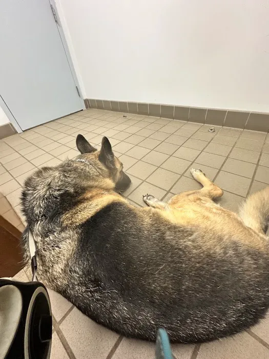 Maryville Animal Hospital 3