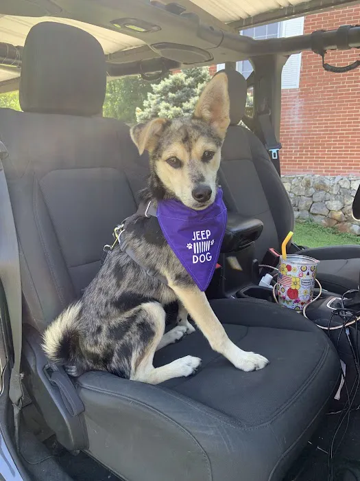 Maryville Animal Hospital 1