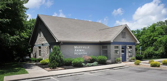 Maryville Animal Hospital 2