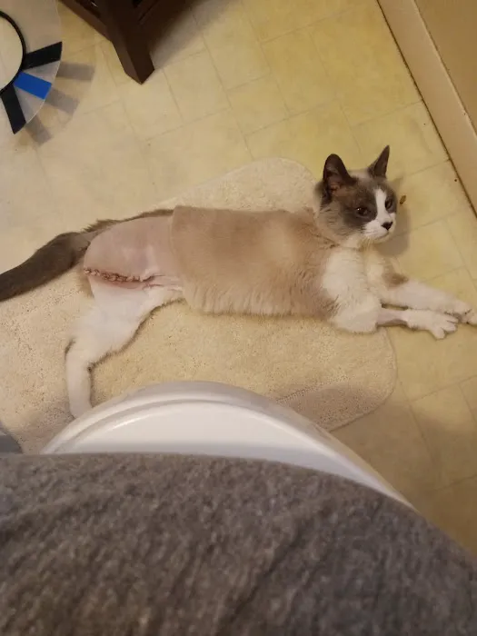 Maryville Animal Hospital 10