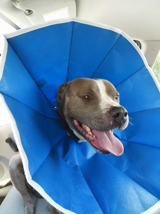 Maryville Animal Hospital 6