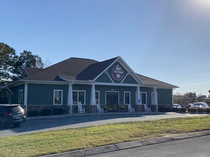 Big Springs Veterinary Hospital 2