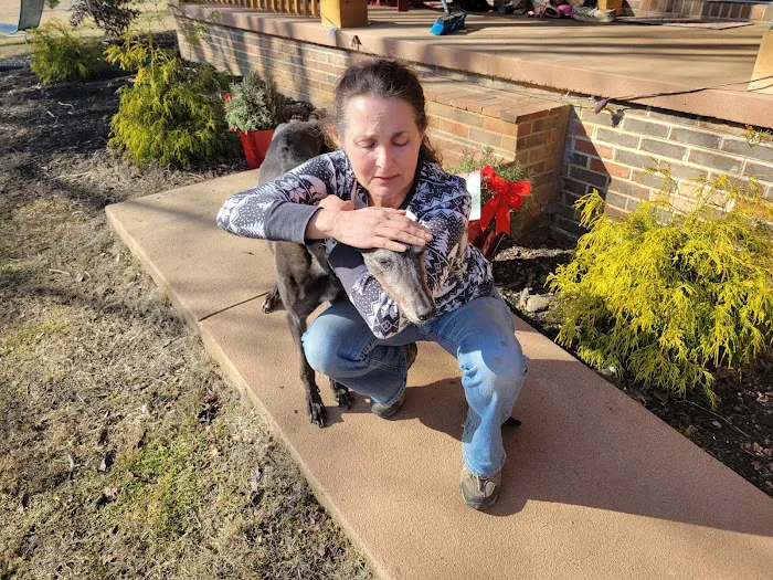 Maryville Small Animal Medical Center 9