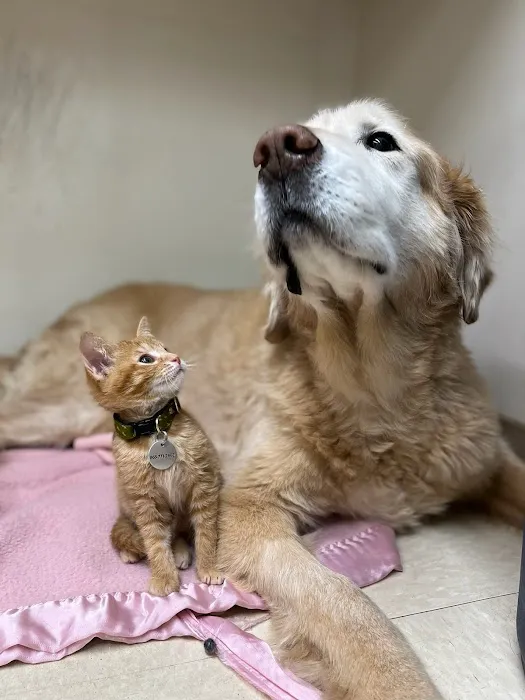 Fairview Animal Hospital 3