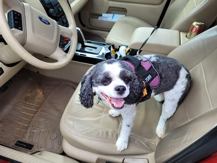 Fairview Animal Hospital 7