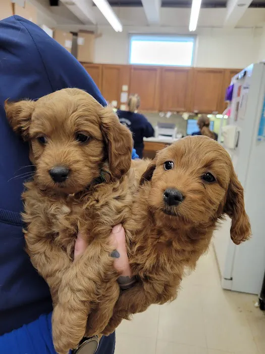 Fairview Animal Hospital 9