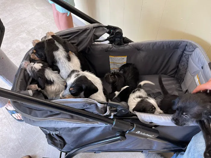 Fairview Animal Hospital 8