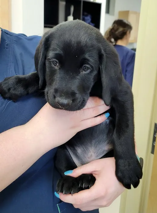 Fairview Animal Hospital 5