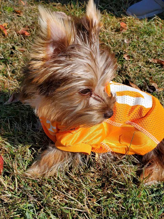 Fairview Animal Hospital 10