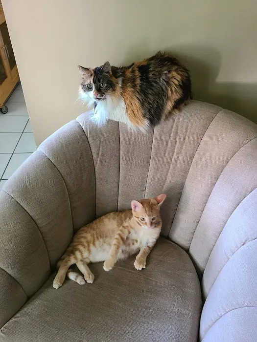 PPAW Spay/Neuter Clinic 5