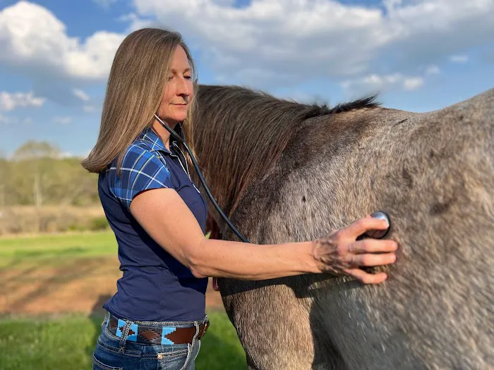 Four Star Equine Veterinary Services 1