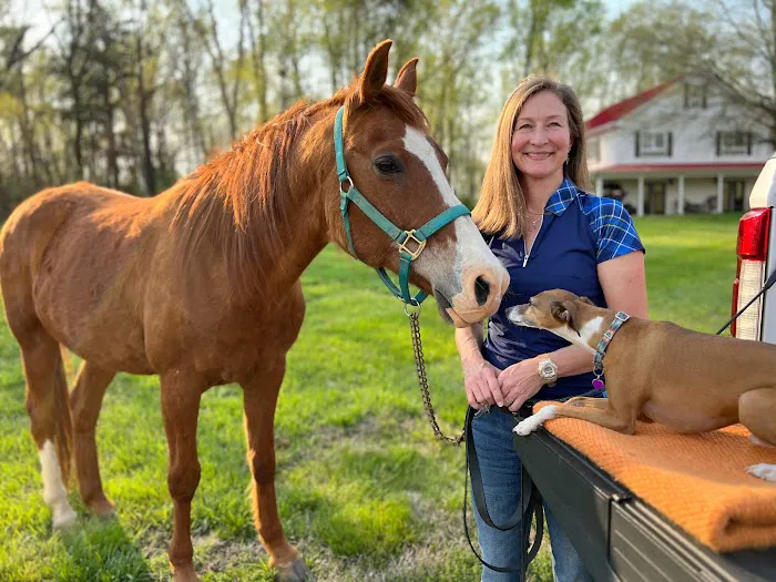 Four Star Equine Veterinary Services 3