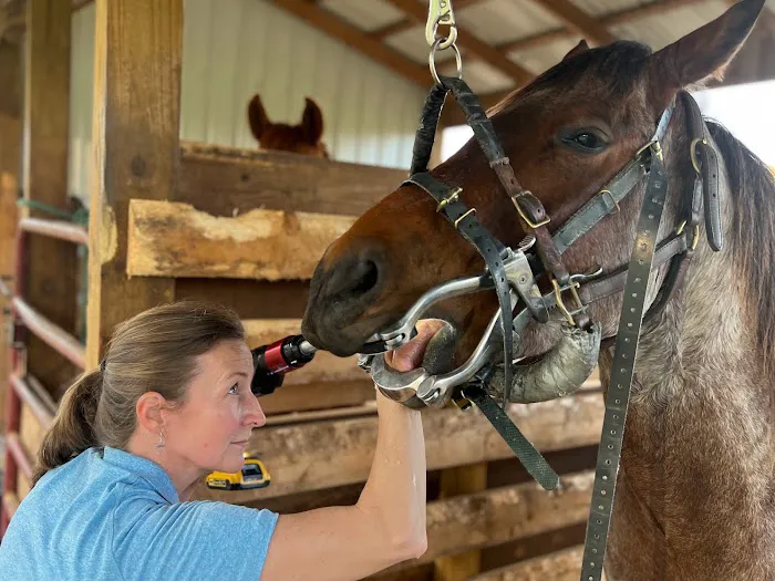 Four Star Equine Veterinary Services 5