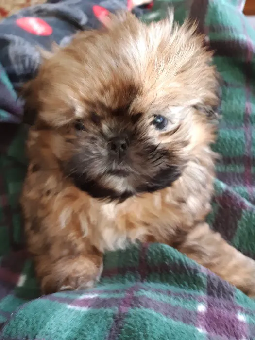 Highland Veterinary Clinic 1