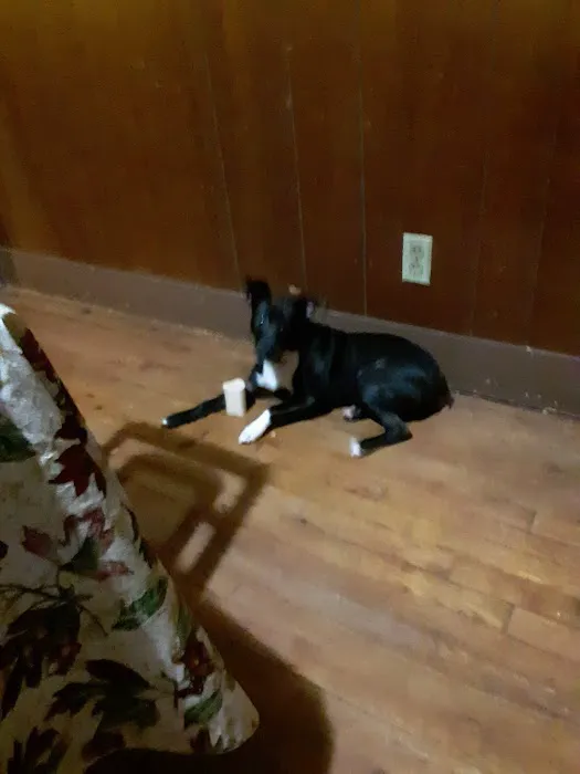Highland Veterinary Clinic 3