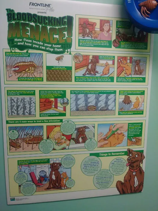 Highland Veterinary Clinic 10