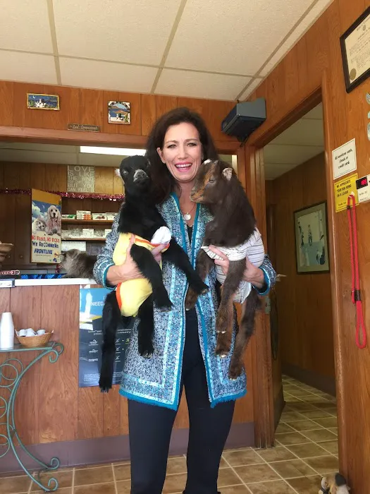 Homestead Animal Medical Clinic 2