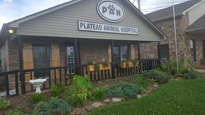 Plateau Animal Hospital 10