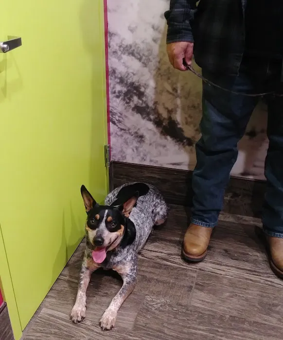 Plateau Animal Hospital 7