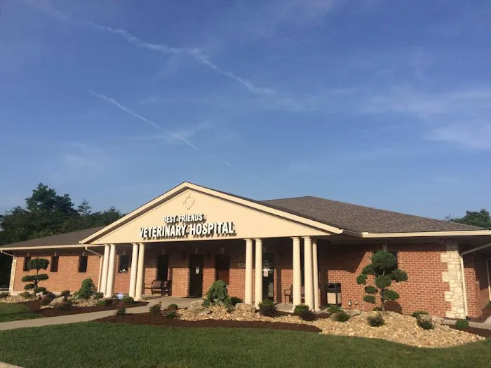 Best Friends Veterinary Hospital 10