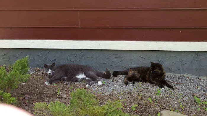 Best Friends Veterinary Hospital 1