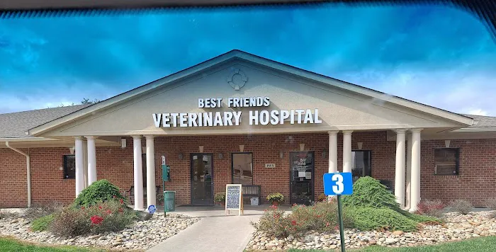 Best Friends Veterinary Hospital 7