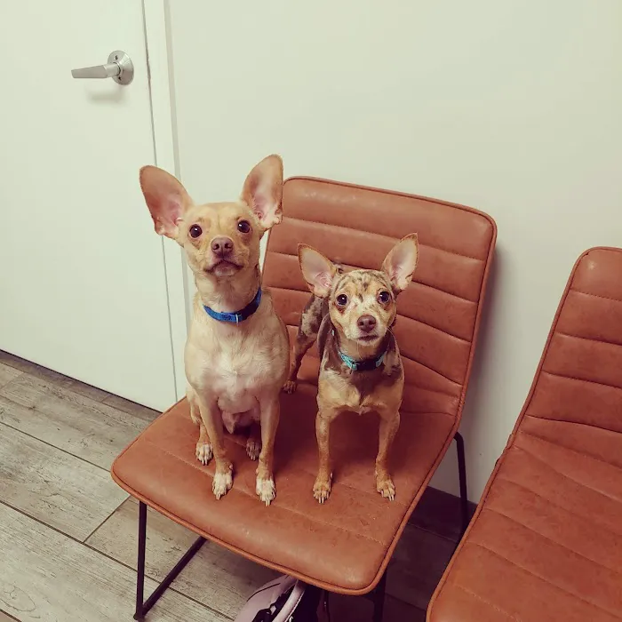 Rhea Pet Medical Center 9